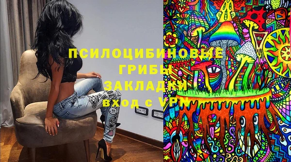 mdma Бородино