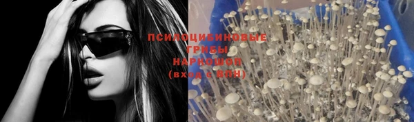 mdpv Бугульма