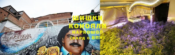 mdma Бородино